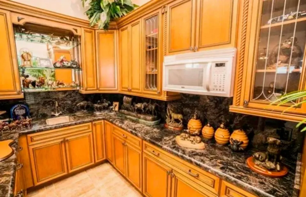 11715 TAYLOR ROAD Thonotosassa, FL 33592