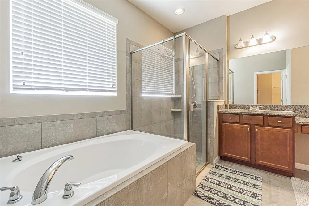 1667 NATURE VIEW DRIVE Lutz, FL 33558