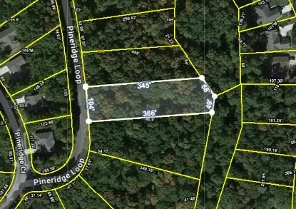 181 Pineridge Loop