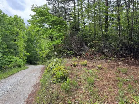 Hwy 19S /Sky Ridge Dr