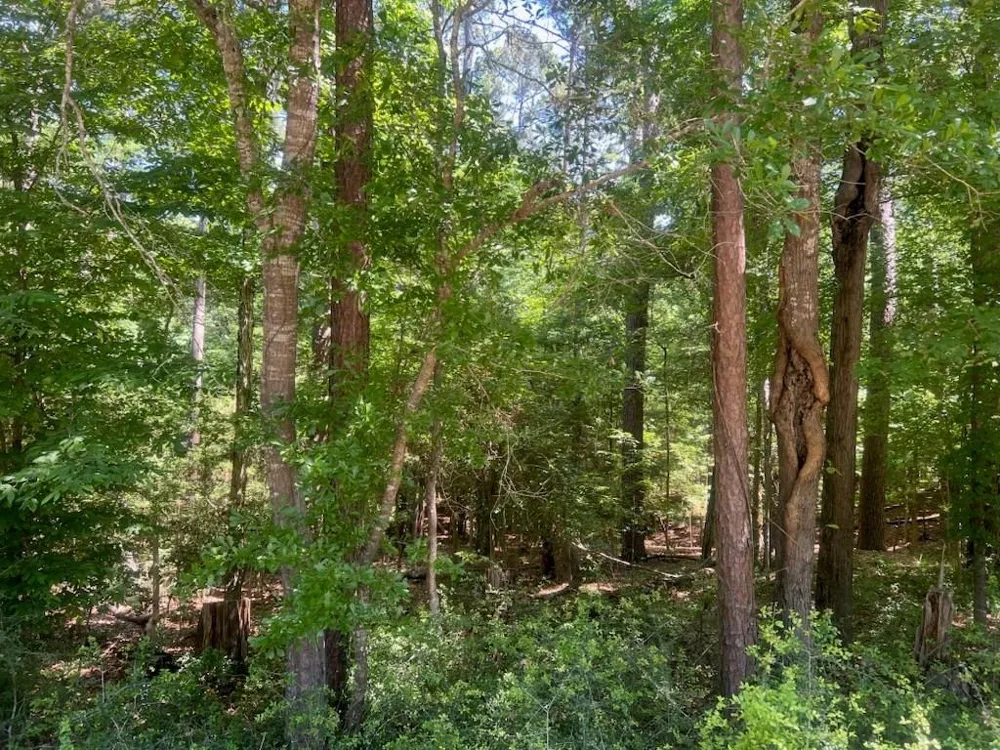324 Leisure Lane Etoile, TX 75944