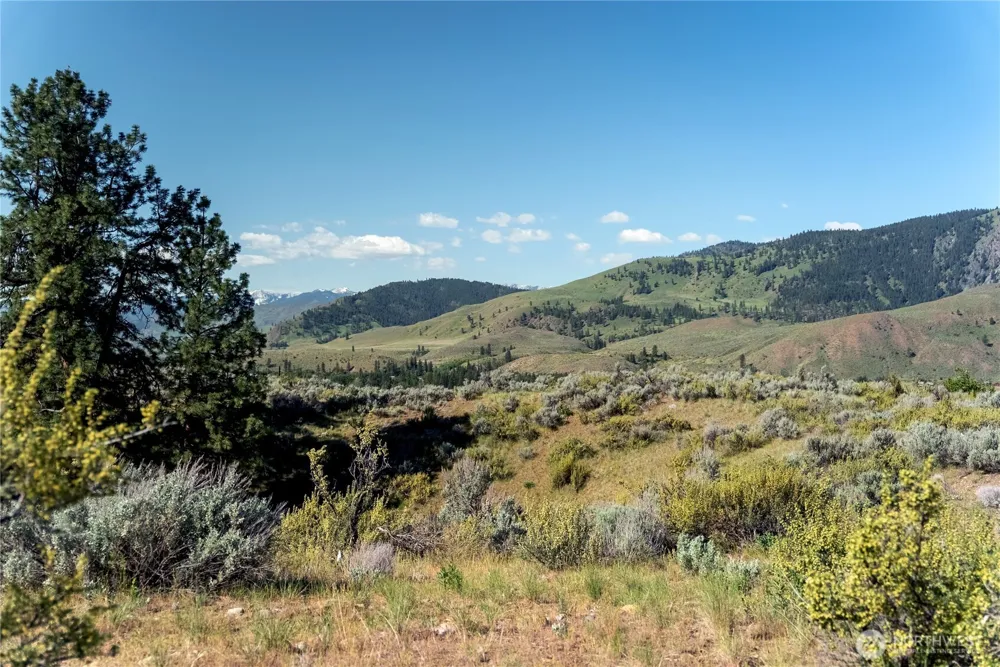 48 Thurlow Road Twisp, WA 98856
