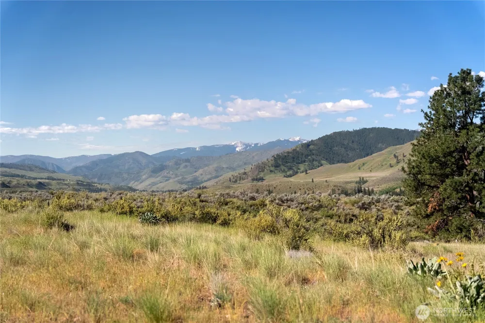 48 Thurlow Road Twisp, WA 98856