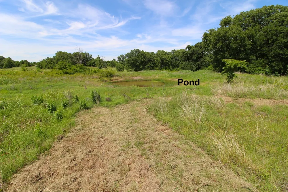 155 Corado Road Montague, TX 76251