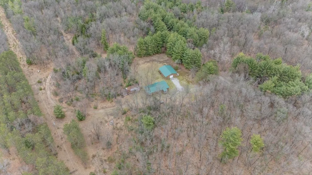 7734 Partlo Road Reno Township, MI 48770