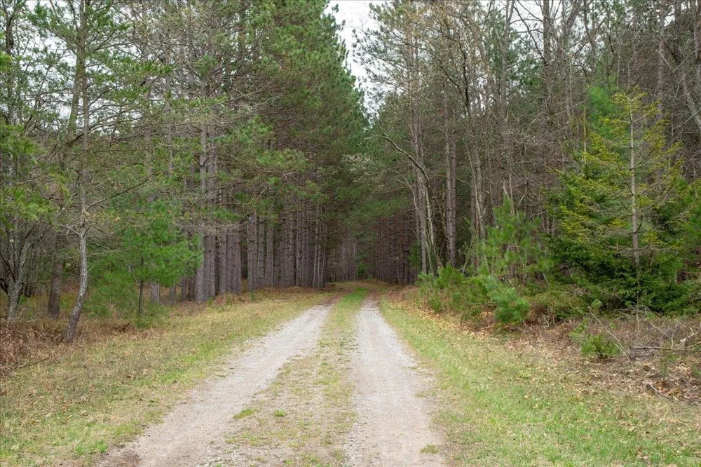 7734 Partlo Road Reno Township, MI 48770