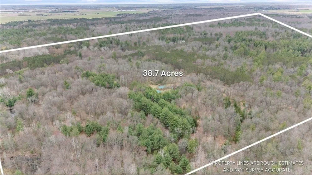 7734 Partlo Road Reno Township, MI 48770
