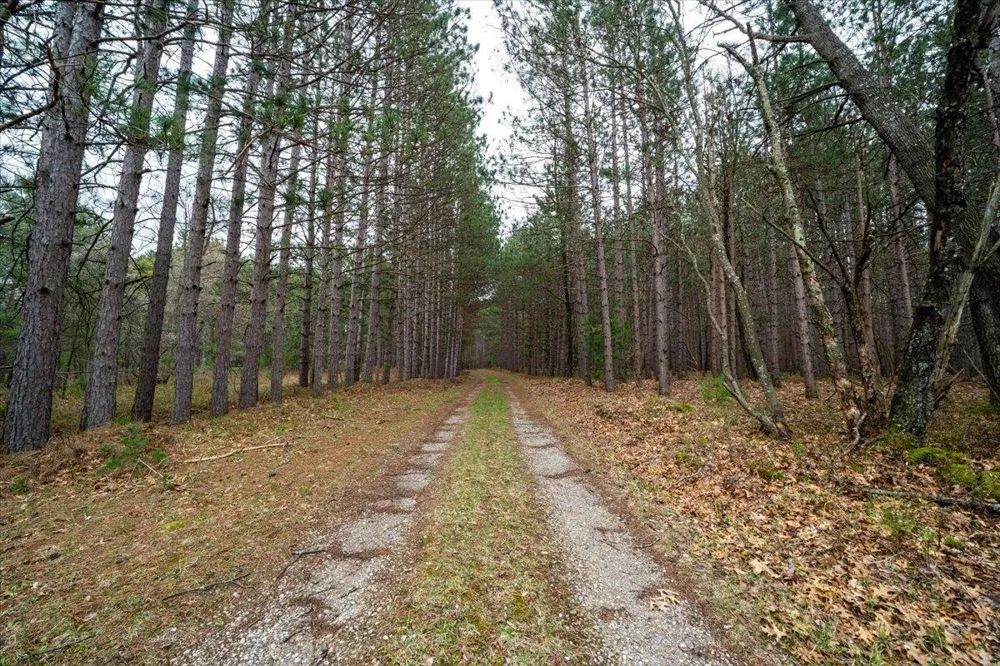 7734 Partlo Road Reno Township, MI 48770