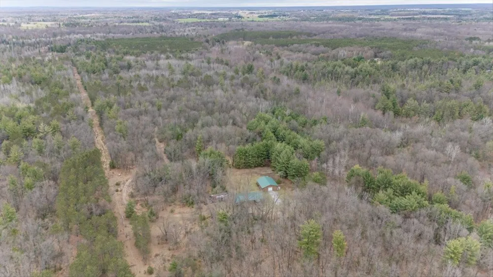 7734 Partlo Road Reno Township, MI 48770