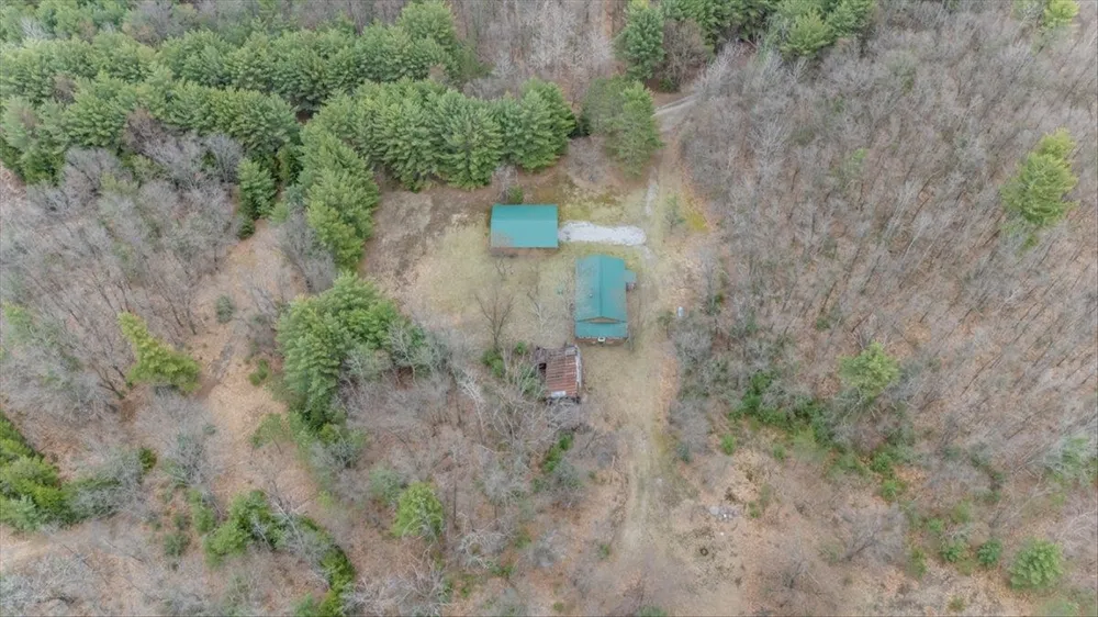 7734 Partlo Road Reno Township, MI 48770