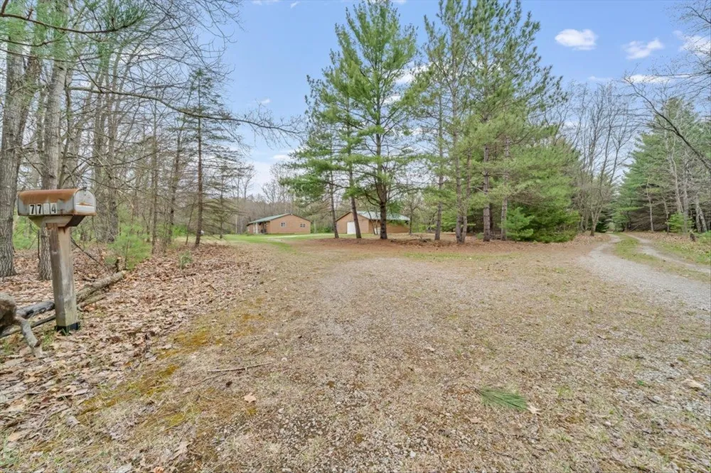 7734 Partlo Road Reno Township, MI 48770