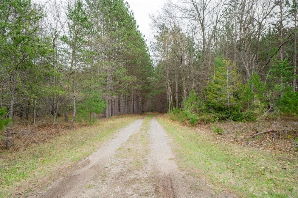 7734 Partlo Road Reno Township, MI 48770
