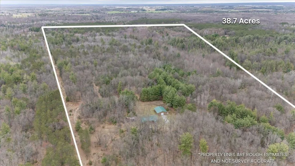 7734 Partlo Road Reno Township, MI 48770
