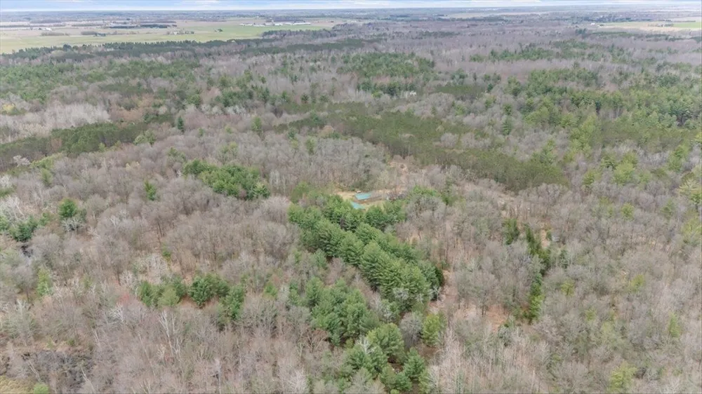 7734 Partlo Road Reno Township, MI 48770