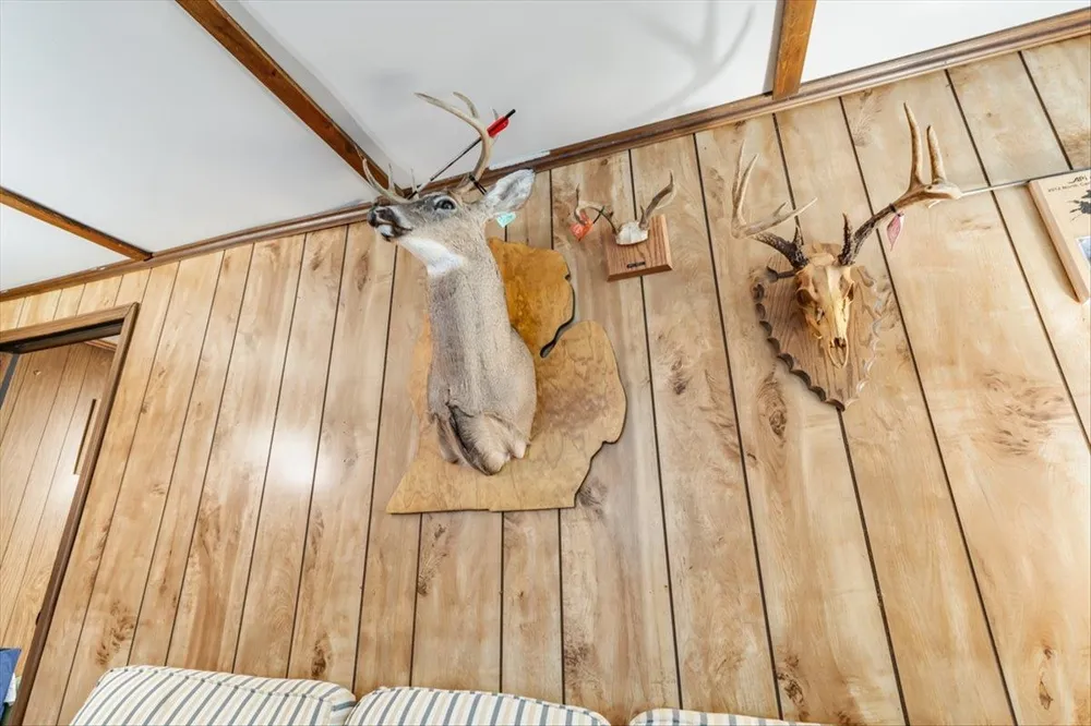 7734 Partlo Road Reno Township, MI 48770