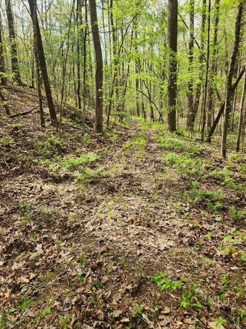 0 Chestnut Mountain Road