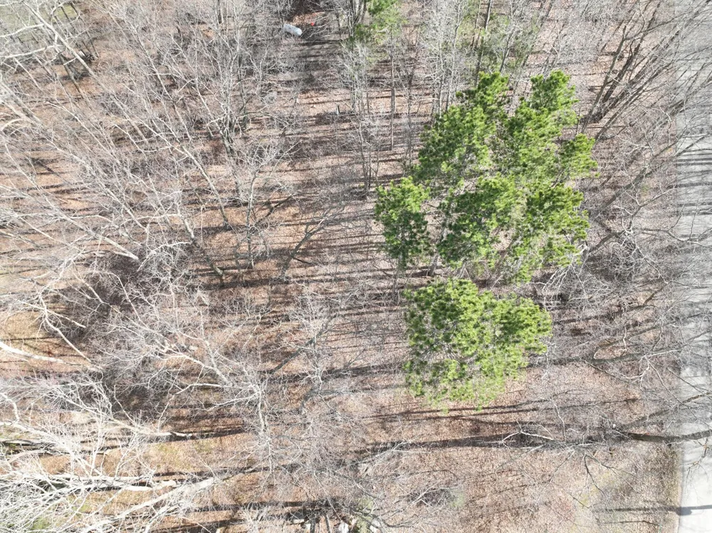 TBD Hawthorn Trail Walker, MN 56484