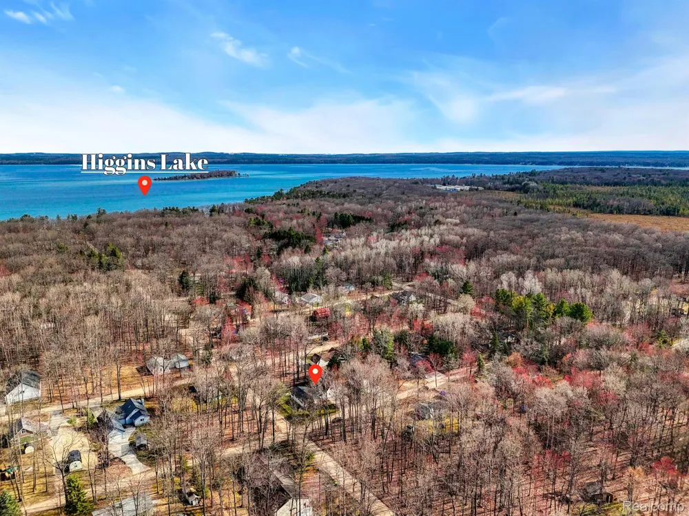 144 CANTON STREET Lyon Township, MI 48653