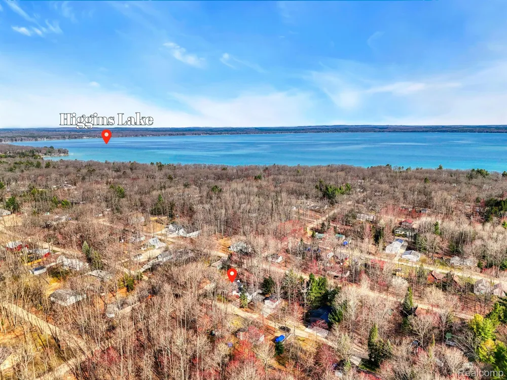 144 CANTON STREET Lyon Township, MI 48653