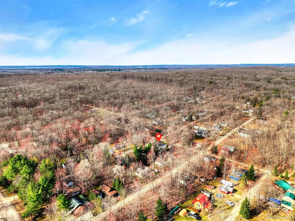 144 CANTON STREET Lyon Township, MI 48653