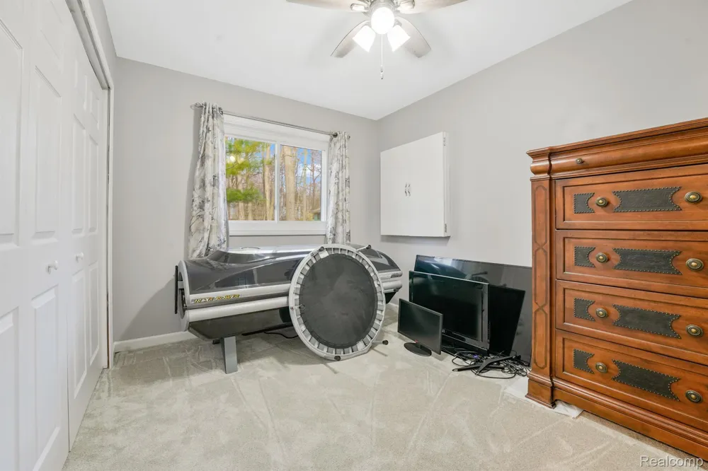 144 CANTON STREET Lyon Township, MI 48653