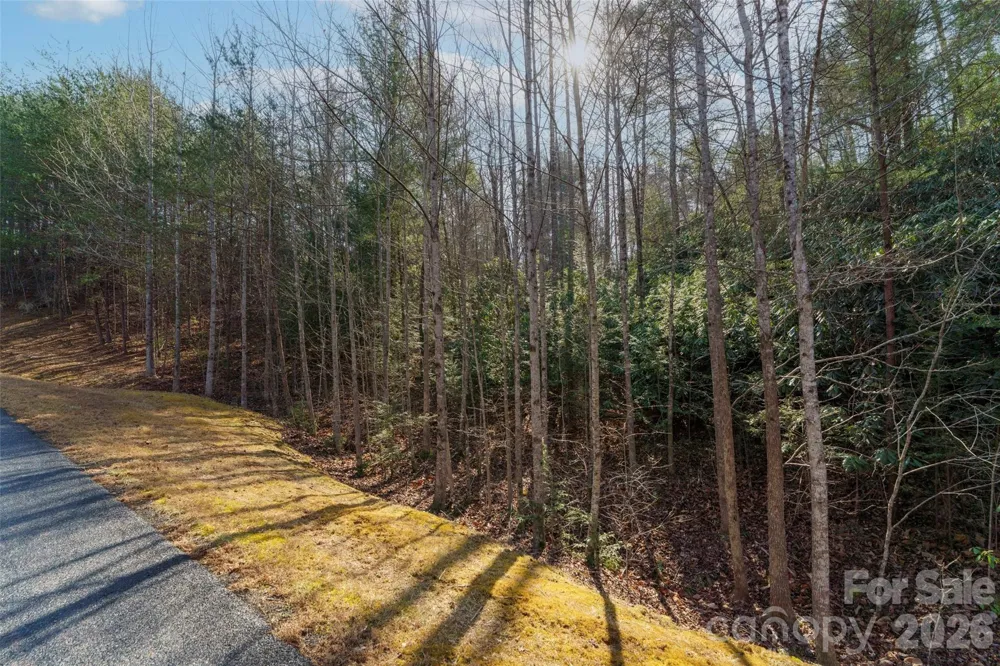265 Harborside Drive #250 Nebo, NC 28761