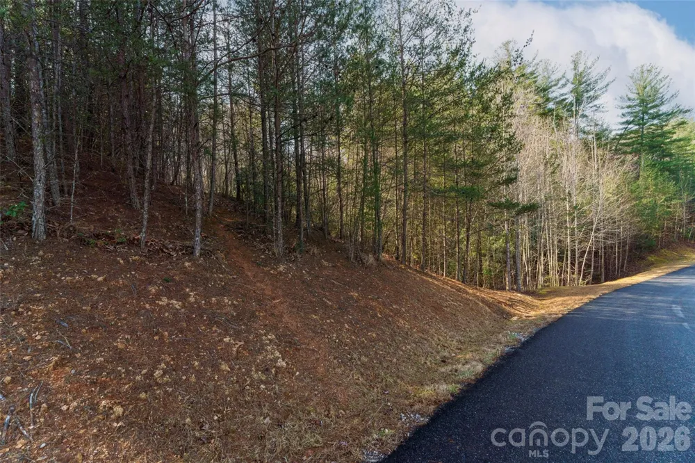 265 Harborside Drive #250 Nebo, NC 28761