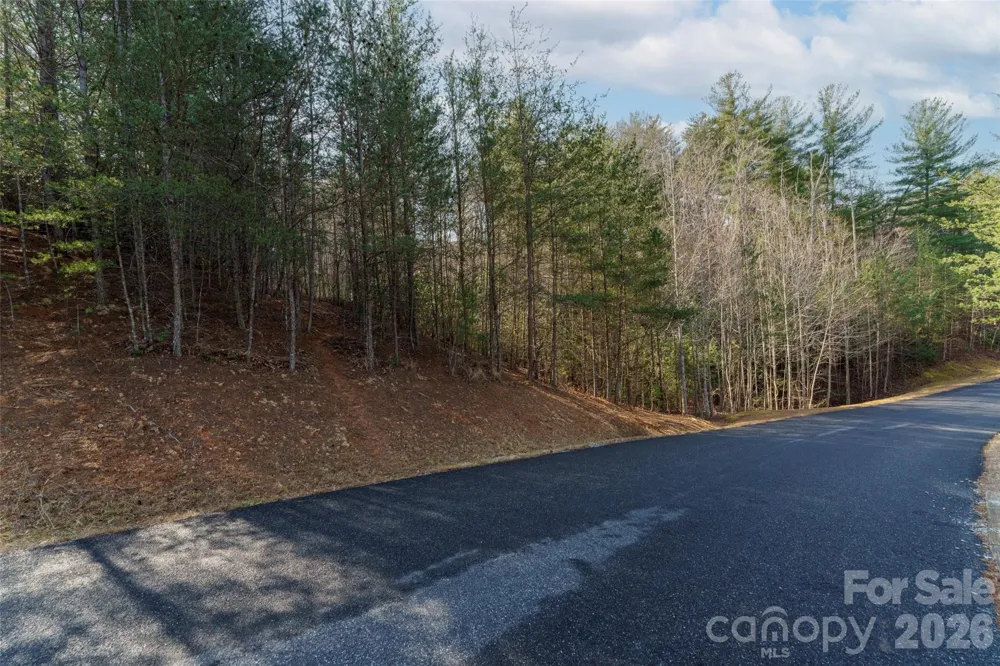265 Harborside Drive #250 Nebo, NC 28761