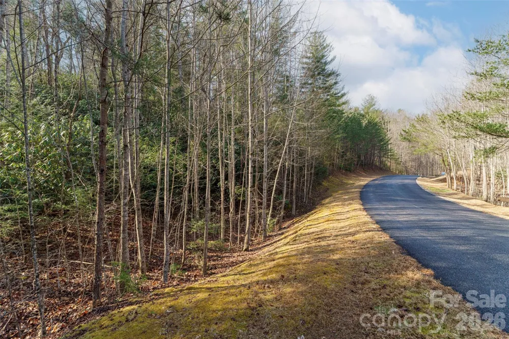 265 Harborside Drive #250 Nebo, NC 28761