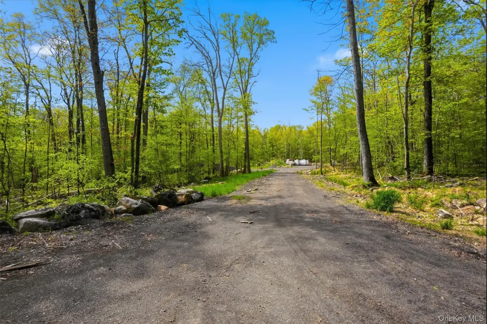 51 Redder Road Pine Bush, NY 12566