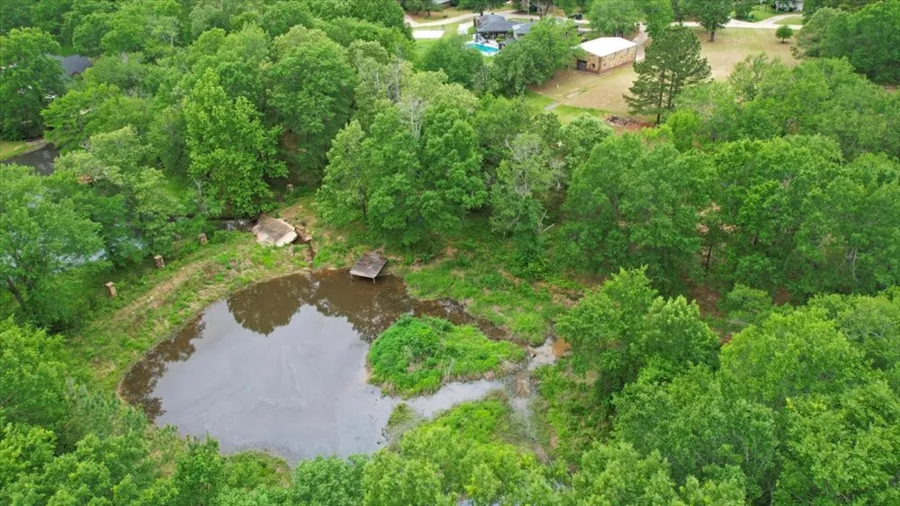 380 Timber Lakes Drive Powderly, TX 75473