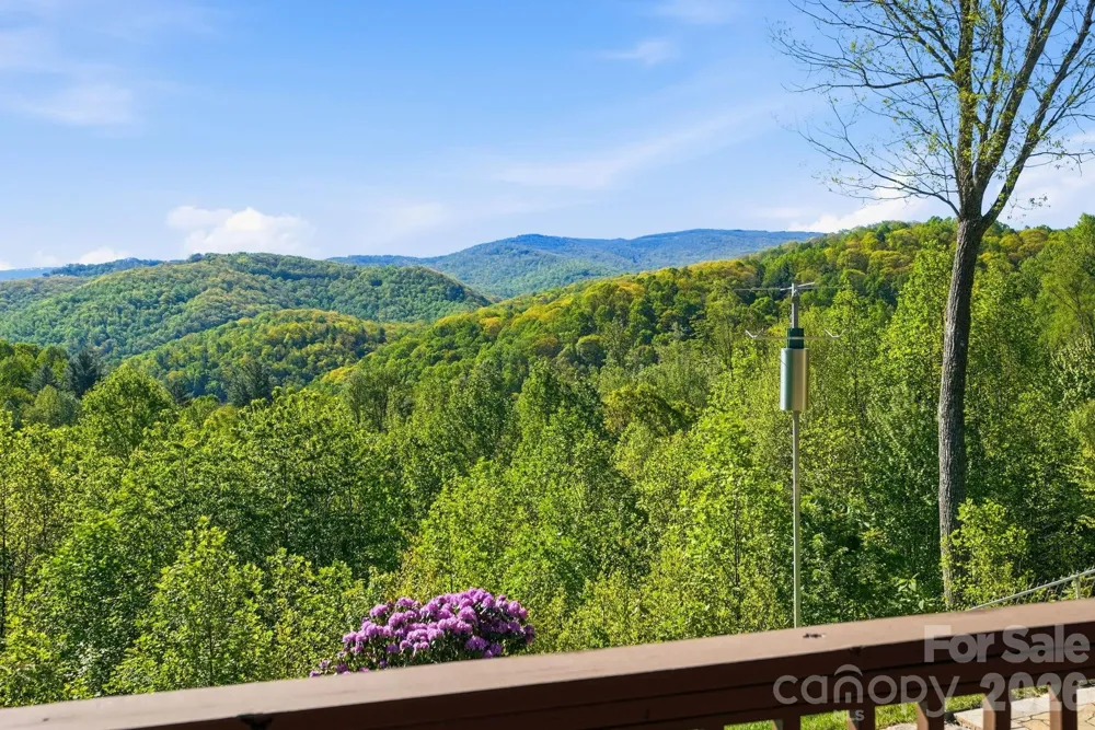 394 Hummingbird Lane Elk Park, NC 28622