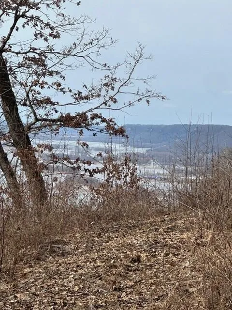 Lot 1 Alma Hills Alma, WI 54610