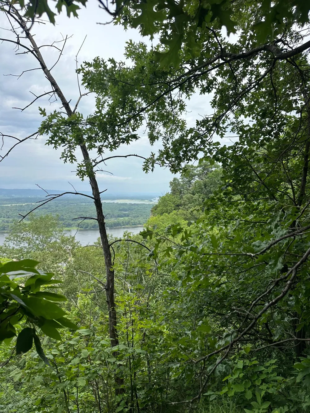 Lot 1 Alma Hills Alma, WI 54610