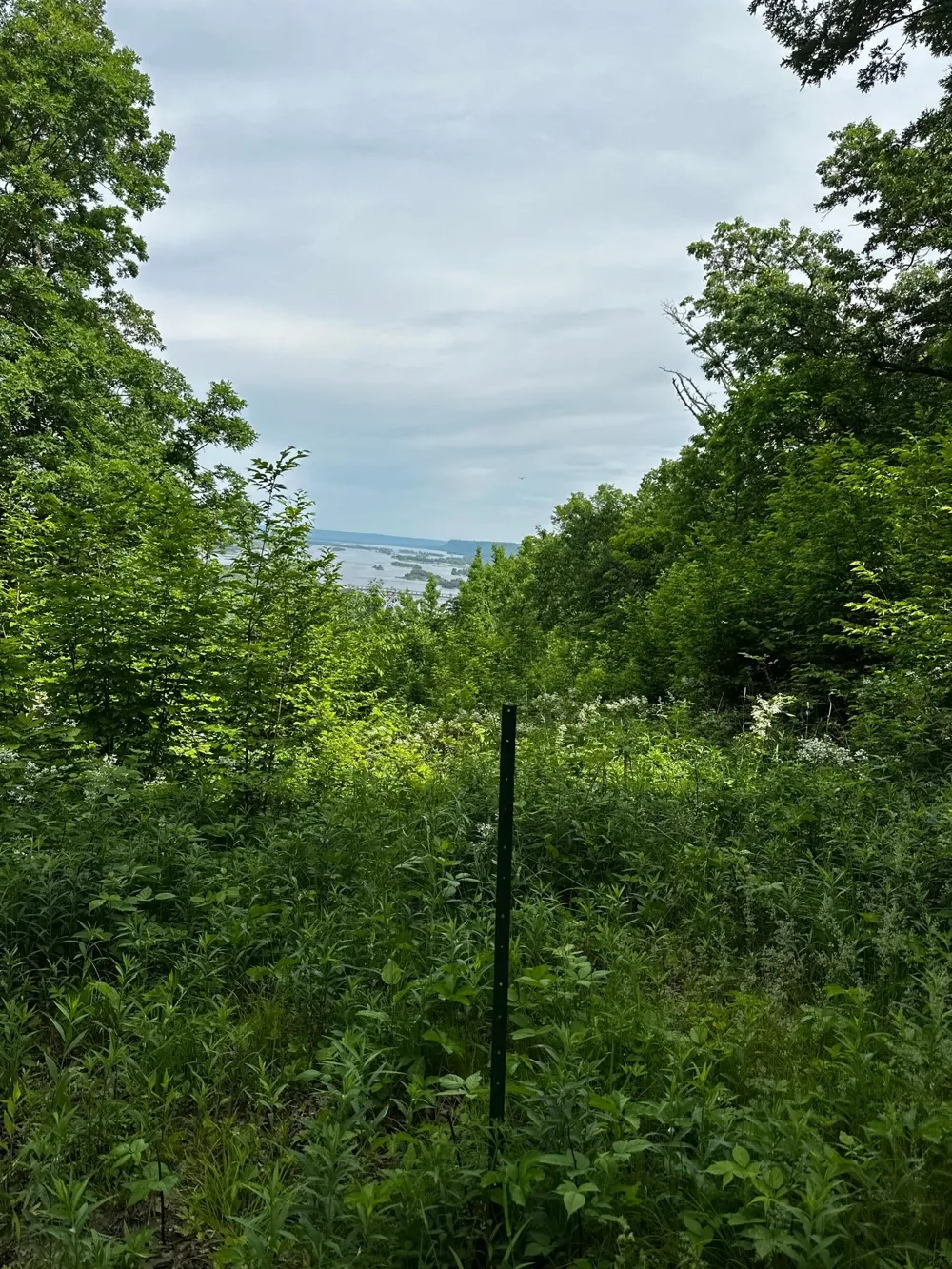 Lot 1 Alma Hills Alma, WI 54610