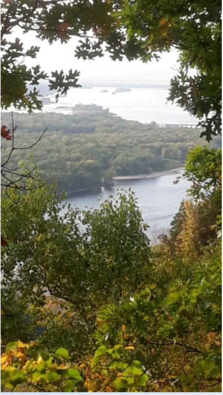 Lot 2 Alma Hills Alma, WI 54610