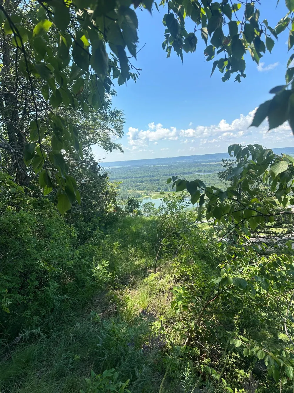 Lot 2 Alma Hills Alma, WI 54610