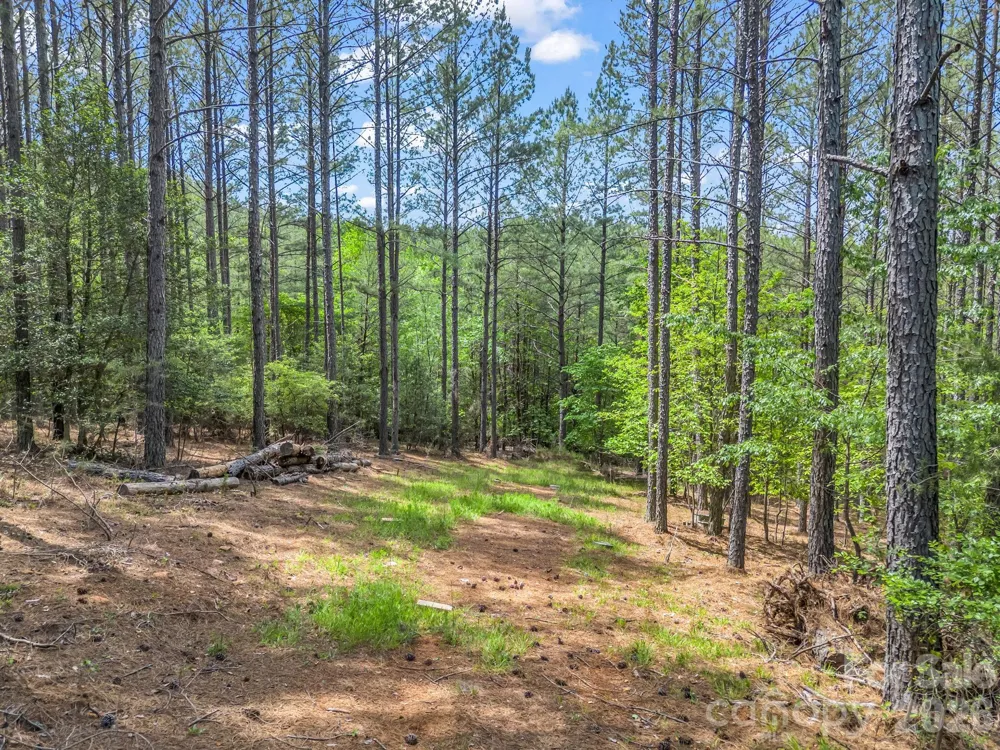 111 Cranberry Lane Mooresboro, NC 28114