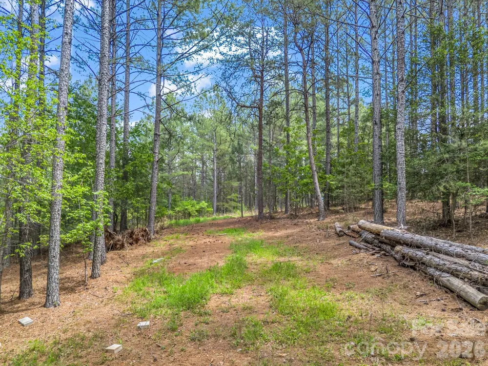 111 Cranberry Lane Mooresboro, NC 28114