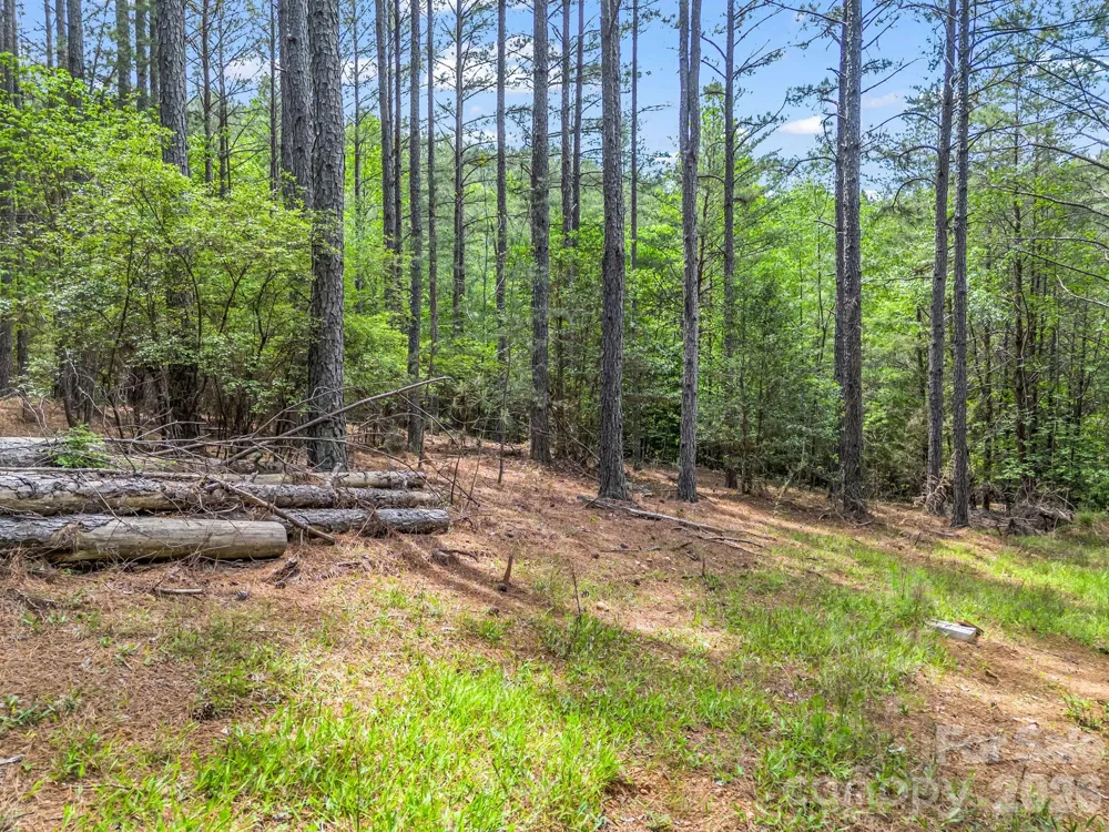 111 Cranberry Lane Mooresboro, NC 28114