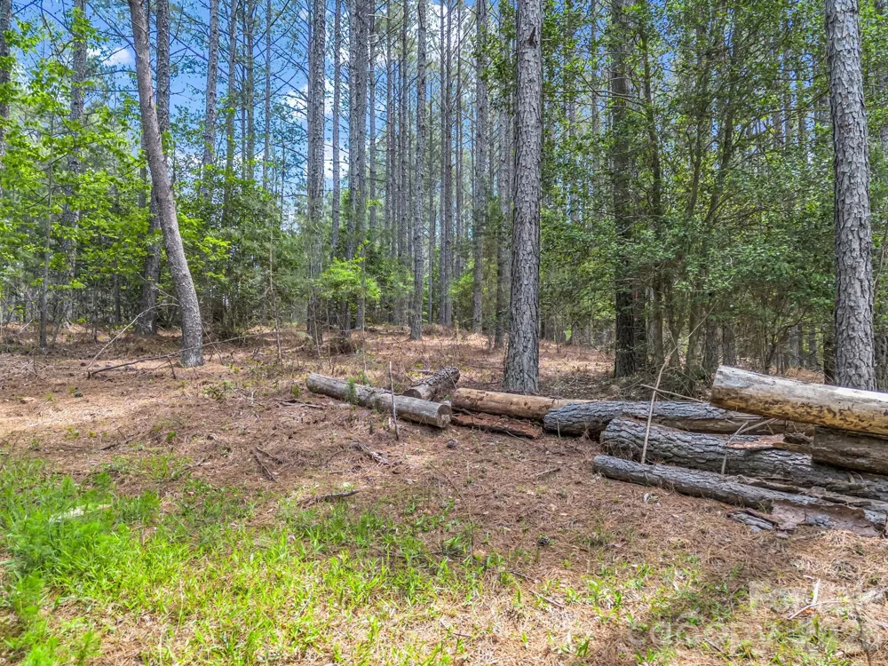 111 Cranberry Lane Mooresboro, NC 28114