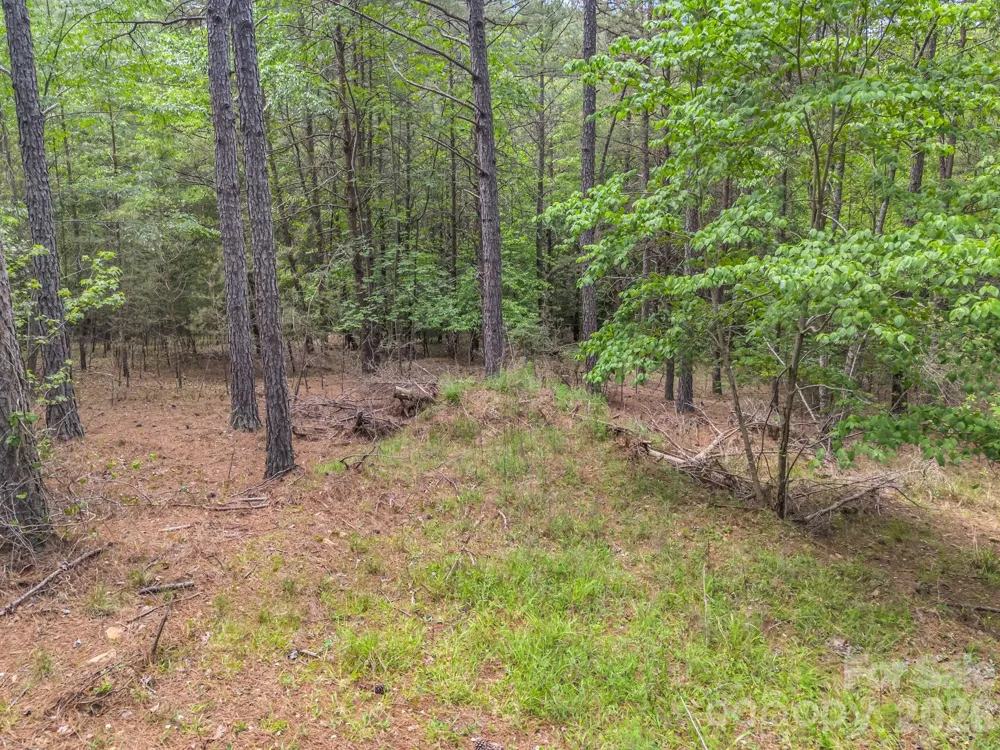 111 Cranberry Lane Mooresboro, NC 28114