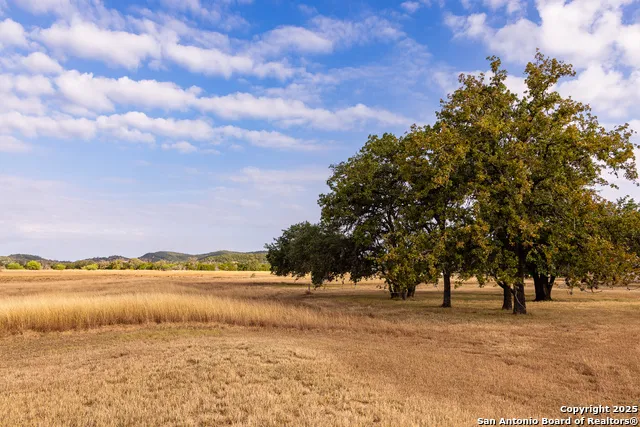 1158 ORCHARD PARK BLVD Medina, TX 78055