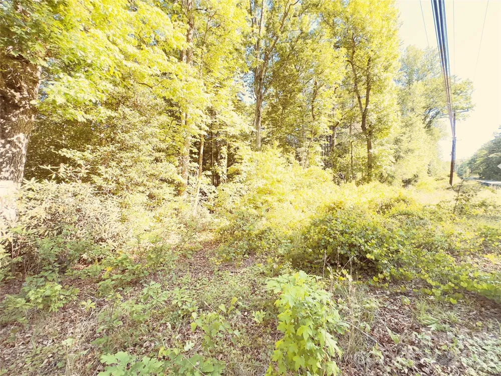 00 Cedar Brook Lane #13B & 15 Nebo, NC 28761