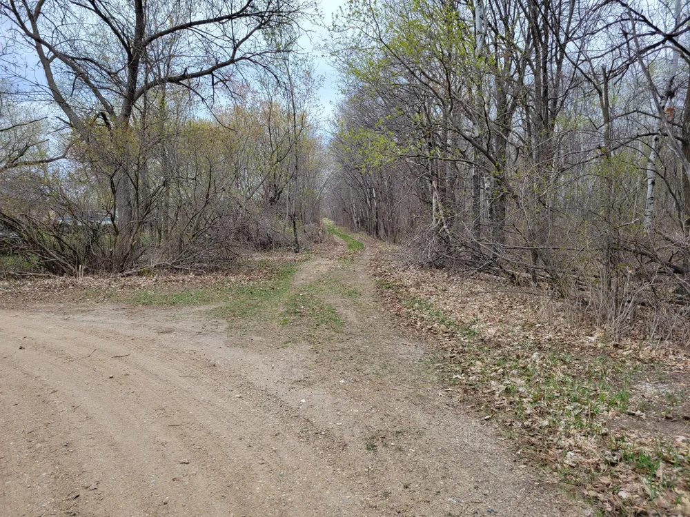 38XXX 385th Street Richville, MN 56576