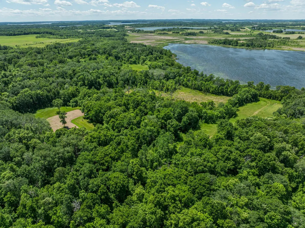 38XXX 385th Street Richville, MN 56576
