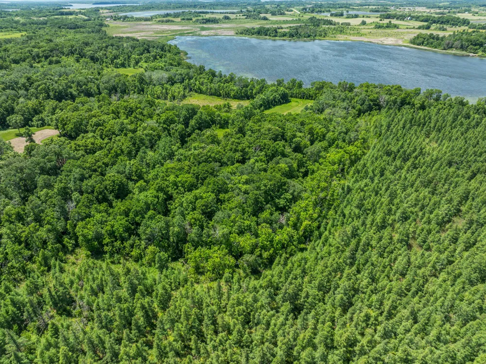 38XXX 385th Street Richville, MN 56576