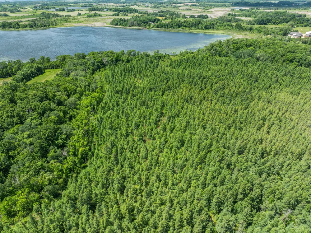 38XXX 385th Street Richville, MN 56576