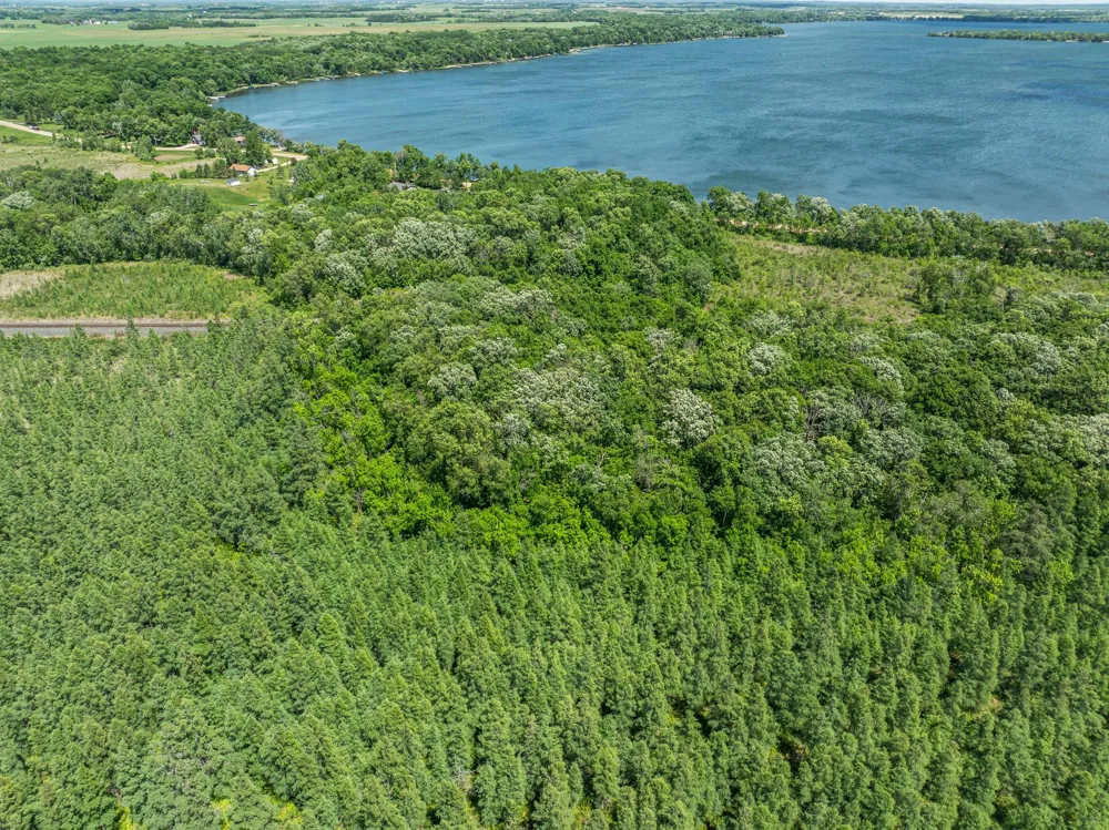 38XXX 385th Street Richville, MN 56576