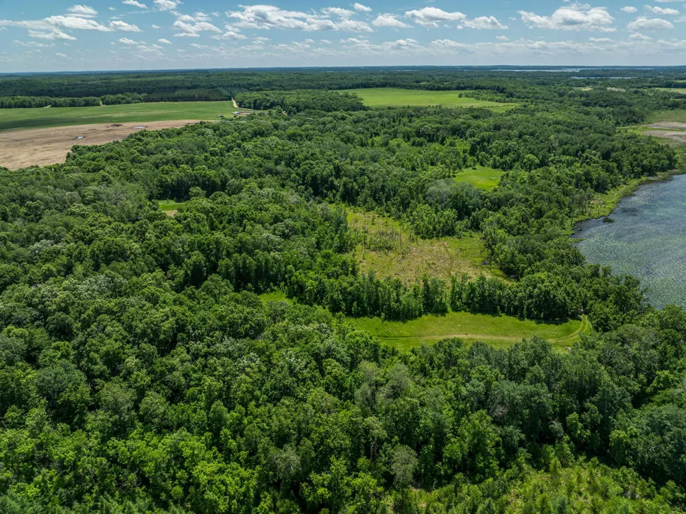 38XXX 385th Street Richville, MN 56576
